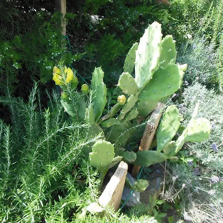 La Cascina Nel Frutteto *