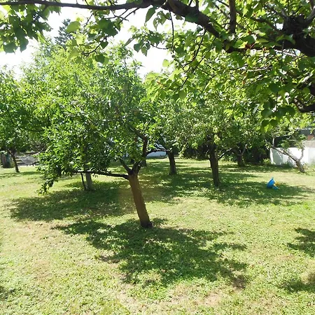 La Cascina Nel Frutteto
