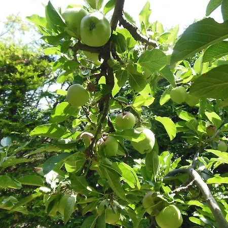 La Cascina Nel Frutteto