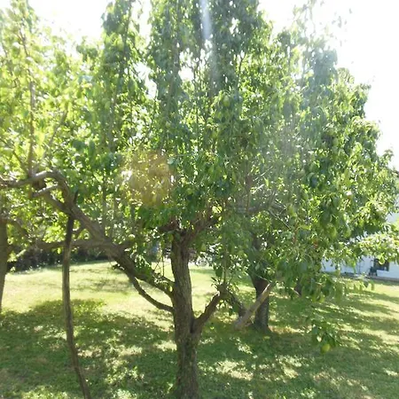 Alojamento de Acomodação e Pequeno-almoço La Cascina Nel Frutteto Trieste